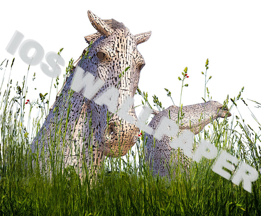 Horse and Berries - Limited Edition