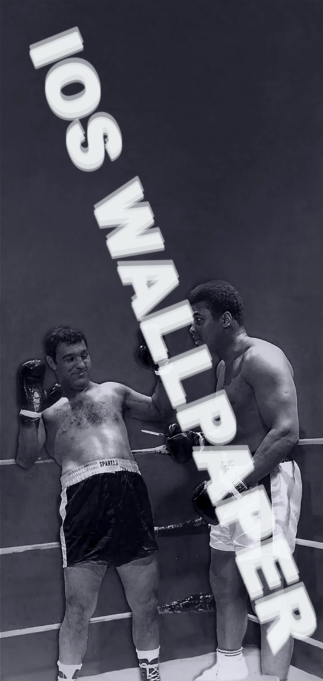 Rocky Marciano w/ Muhammad Ali - Digital Download