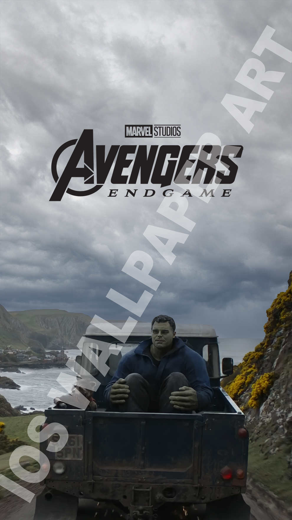 Téléchargement numérique - Avengers Endgame | Hulk et fusée